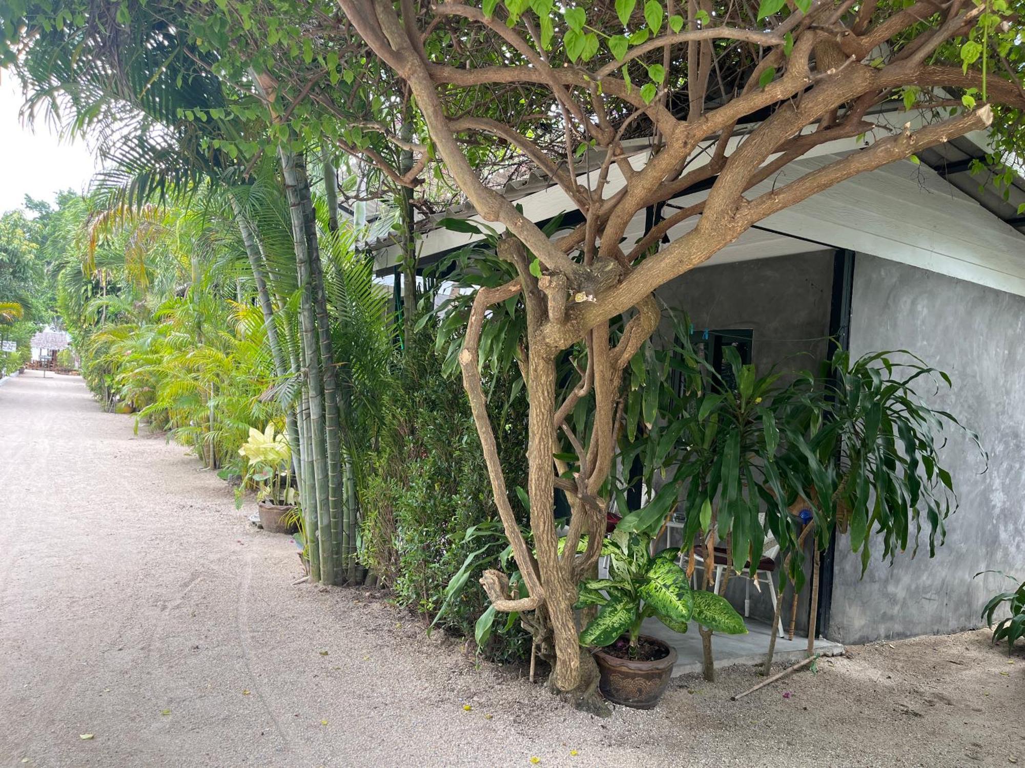 帕岸岛米卡萨海滩山林小屋 帕岸岛