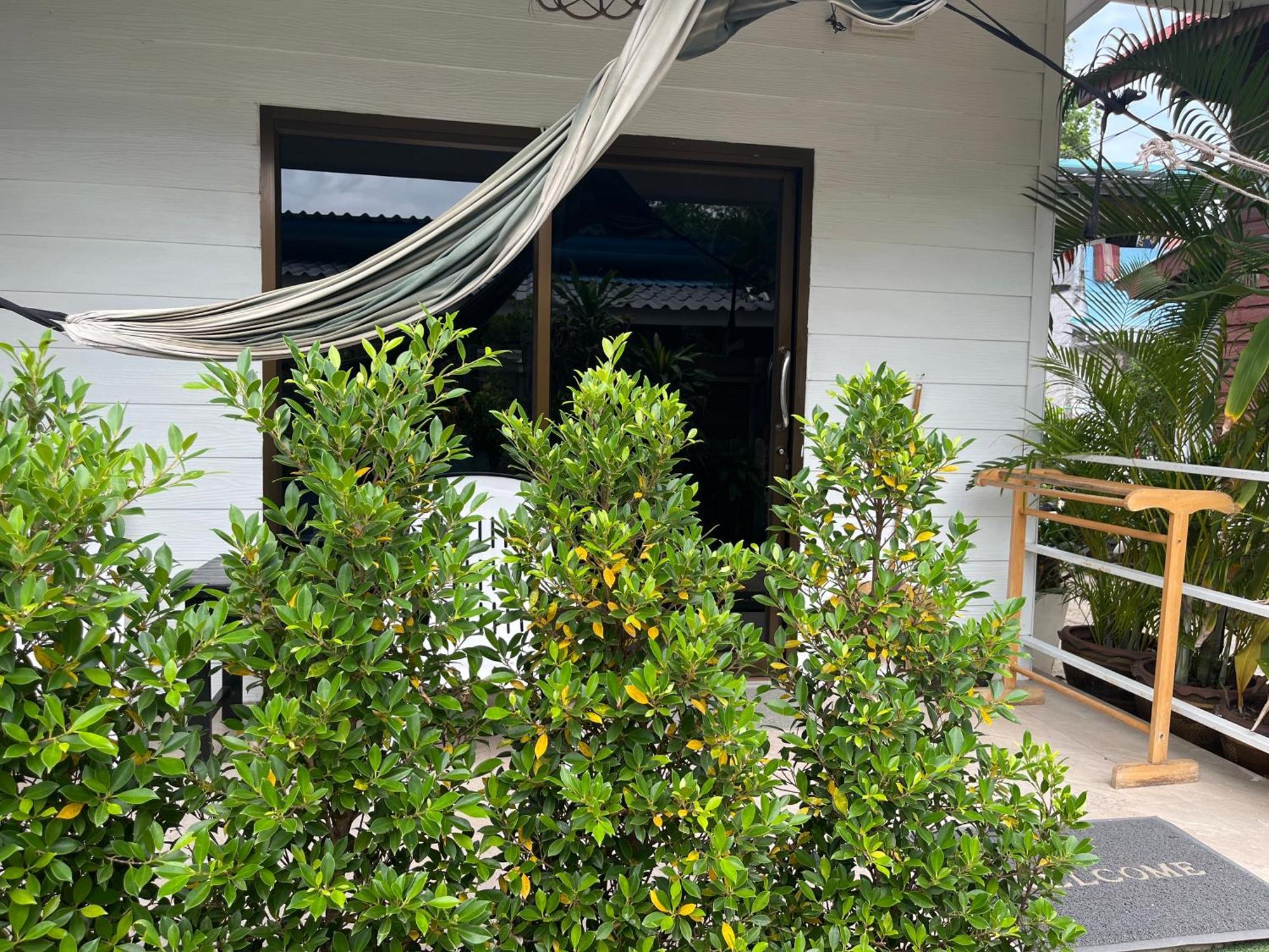 帕岸岛米卡萨海滩山林小屋 * 帕岸岛